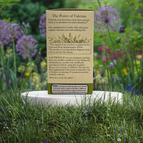 PhotoRoom_20240116_135045.jpg